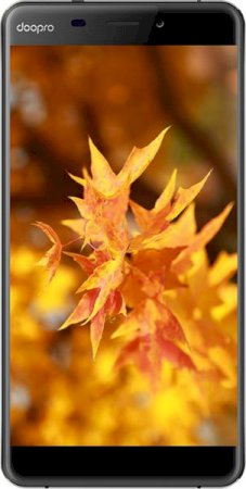 Doopro C1